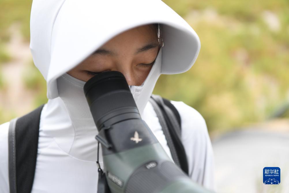 掌上十三水